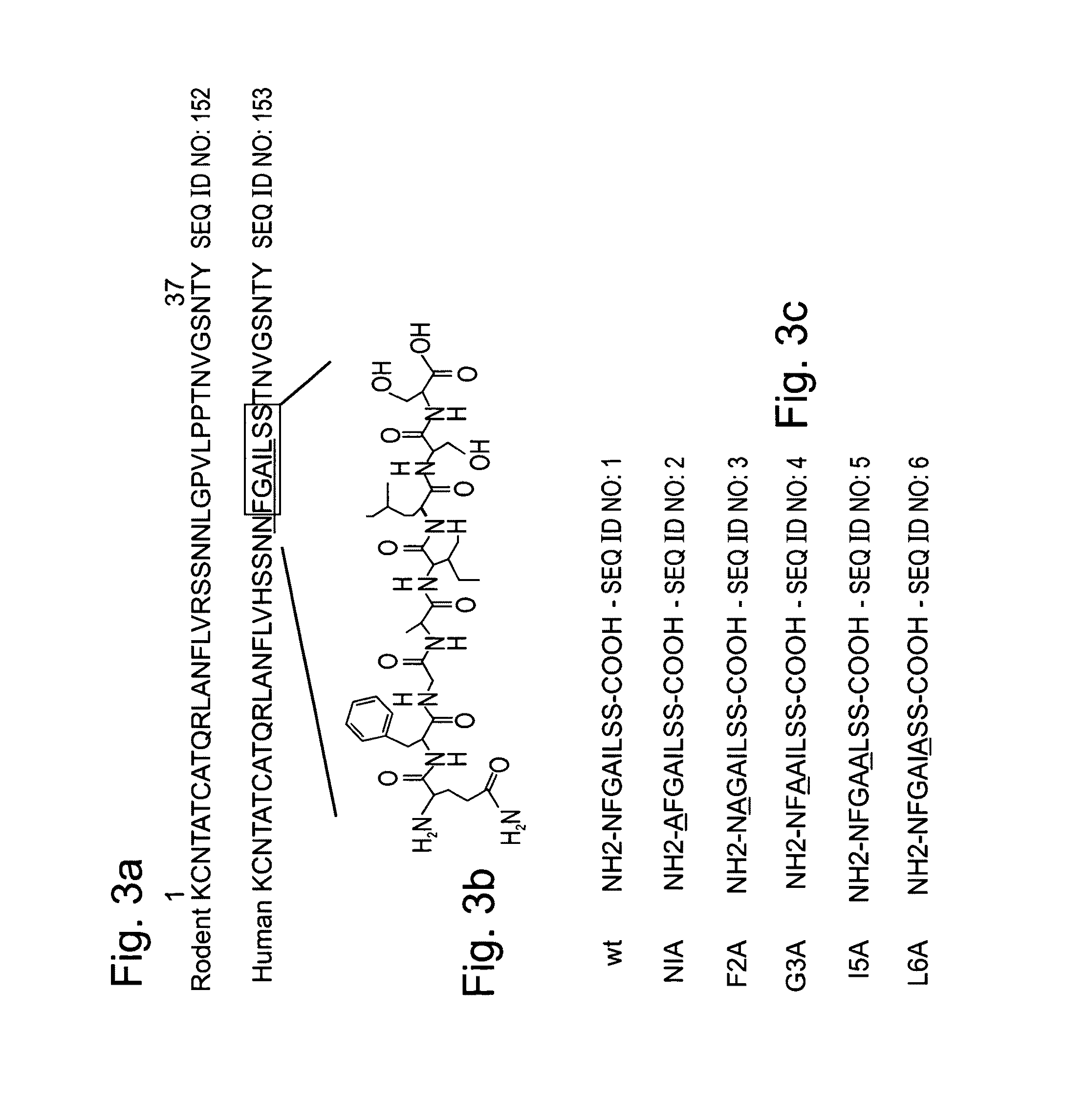 Peptides directed for diagnosis and treatment of amyloid-associated disease