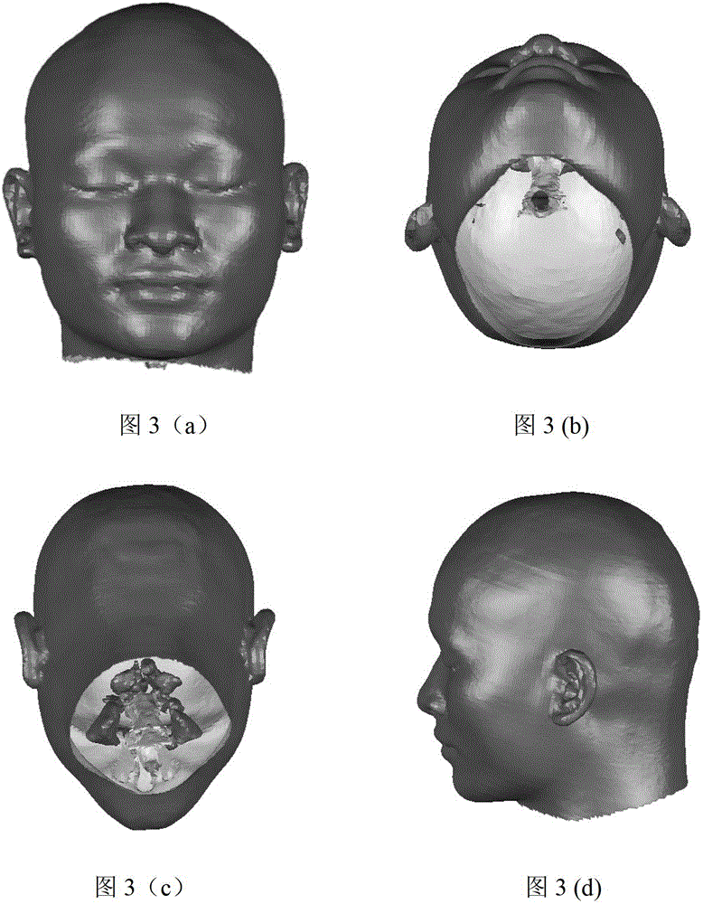 Tomography-image-based facial skin three-dimensional surface model reconstructing method
