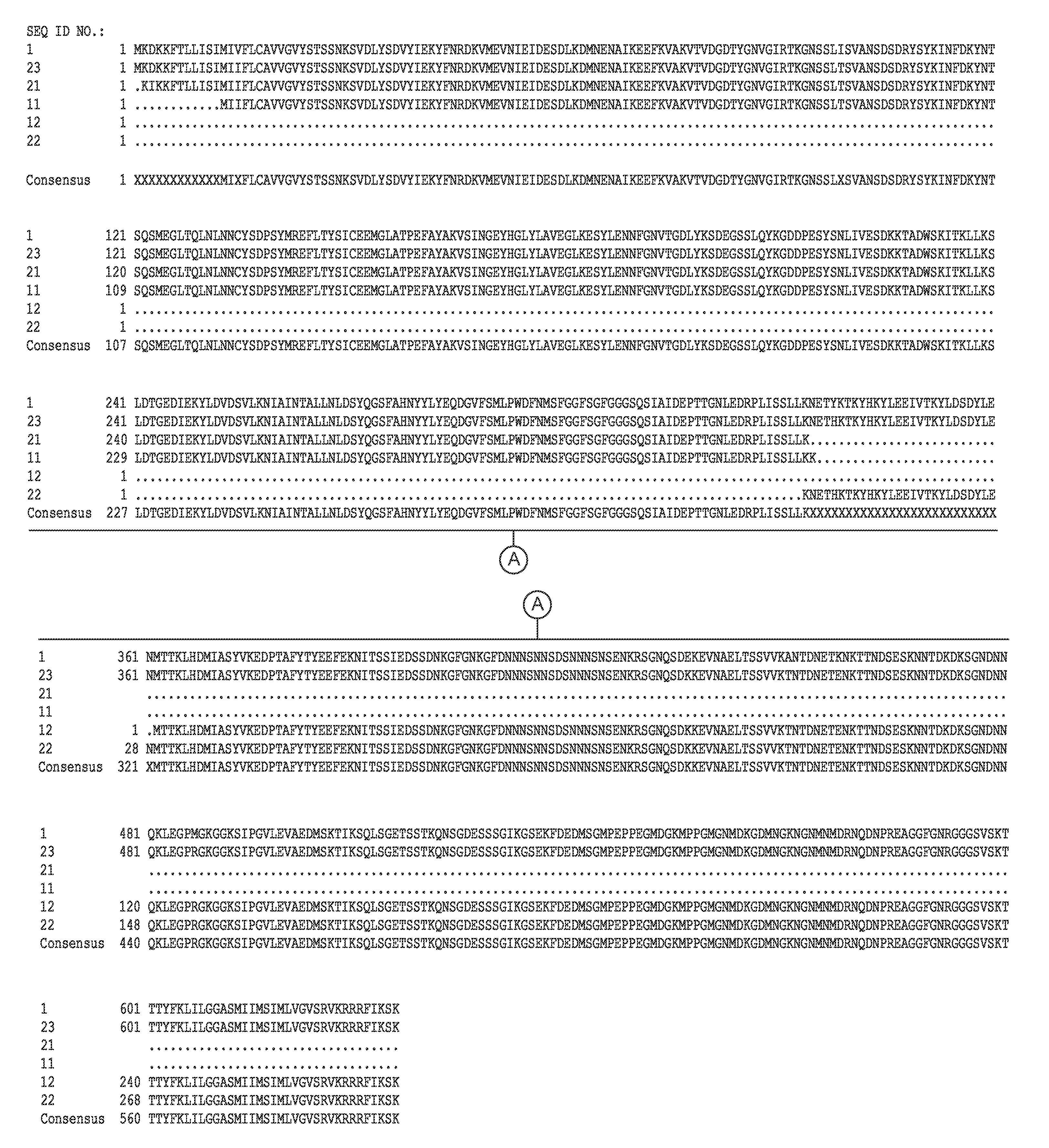 Antibodies to clostridium difficile spores and uses thereof