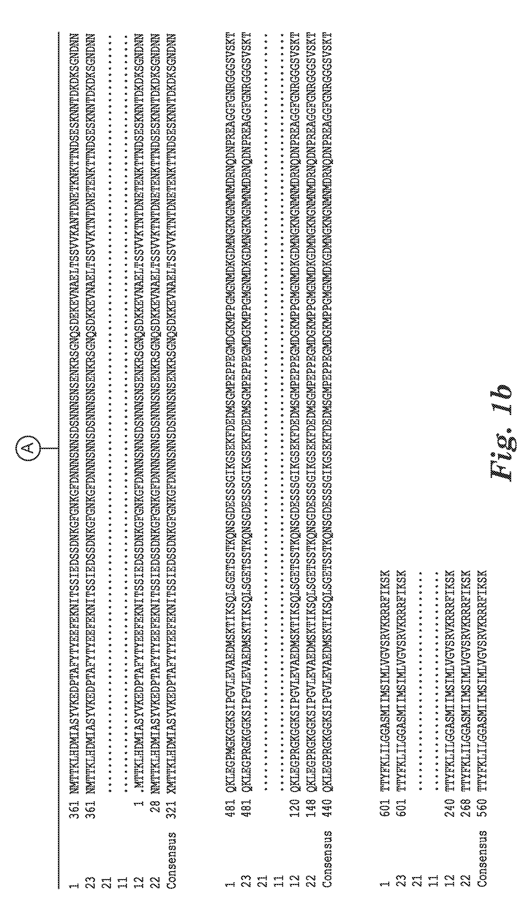 Antibodies to clostridium difficile spores and uses thereof