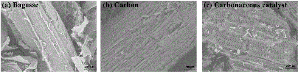 Bagasse-based carbon catalyst, as well as preparation method and application thereof