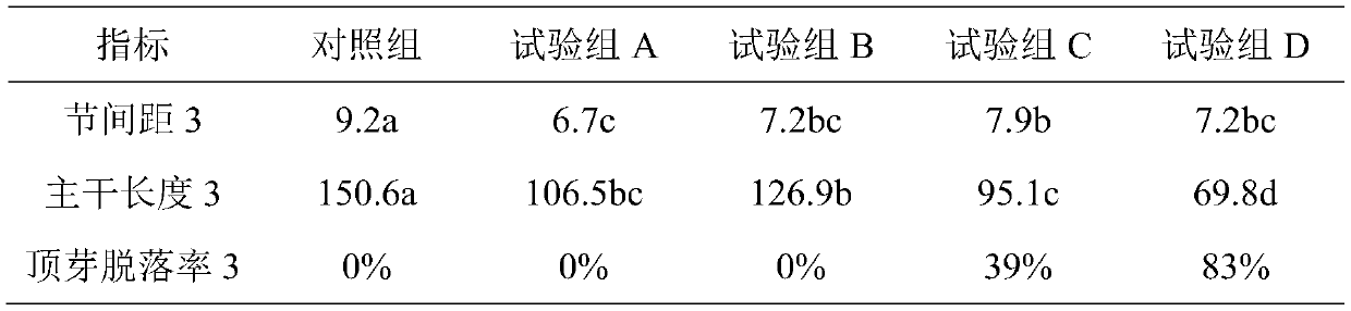 A dwarf cultivation method of safflower magnolia utilizing plastic element