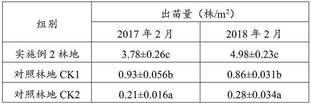 Liriodendron forest seedling cultivation method