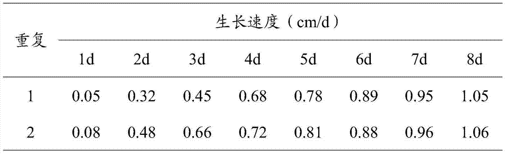 Metarhizium flavoviride MFYY090714 and applications thereof