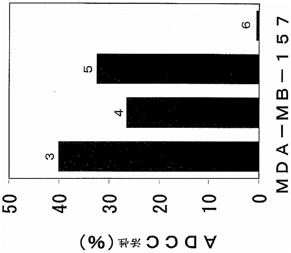 Pharmaceutical composition for cancer treatment and/or prevention