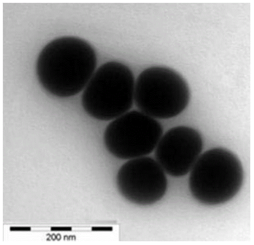 Functional nano-selenium and preparation thereof as well as application of functional nano-selenium in preparation of anti-bacteria and sterilization drugs