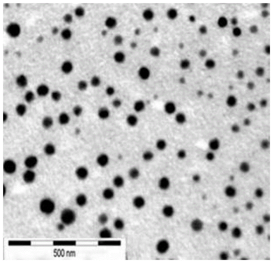 Functional nano-selenium and preparation thereof as well as application of functional nano-selenium in preparation of anti-bacteria and sterilization drugs