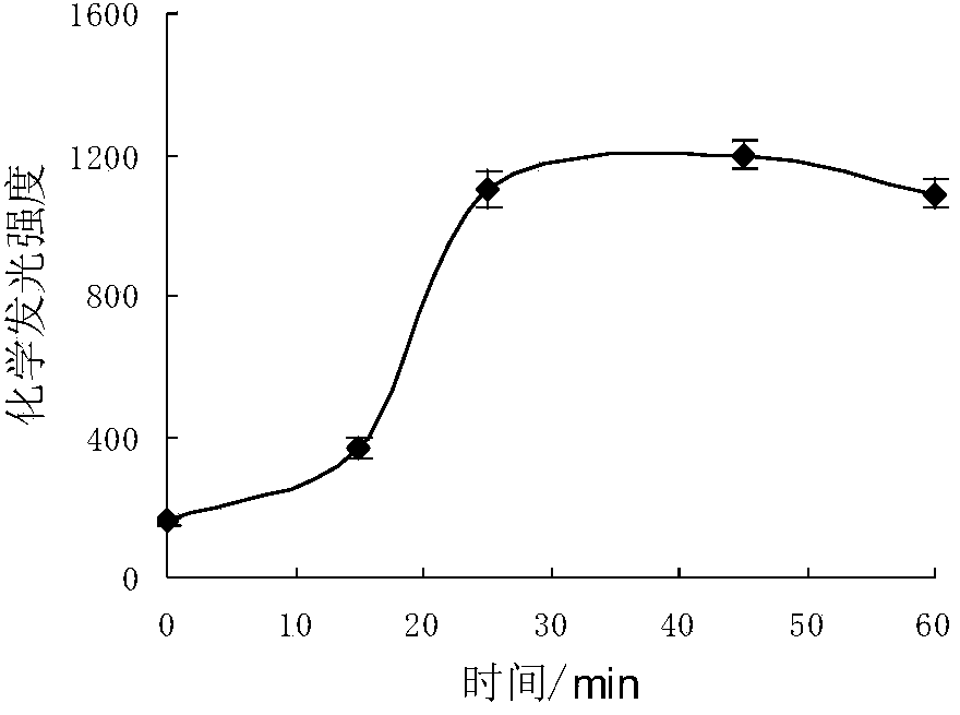 Method for detecting ferritin based on nanogold catalytic chemiluminescence analysis