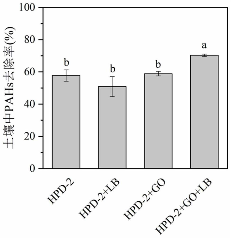 Nano-material immobilized microorganism remediation agent and preparation method and application thereof