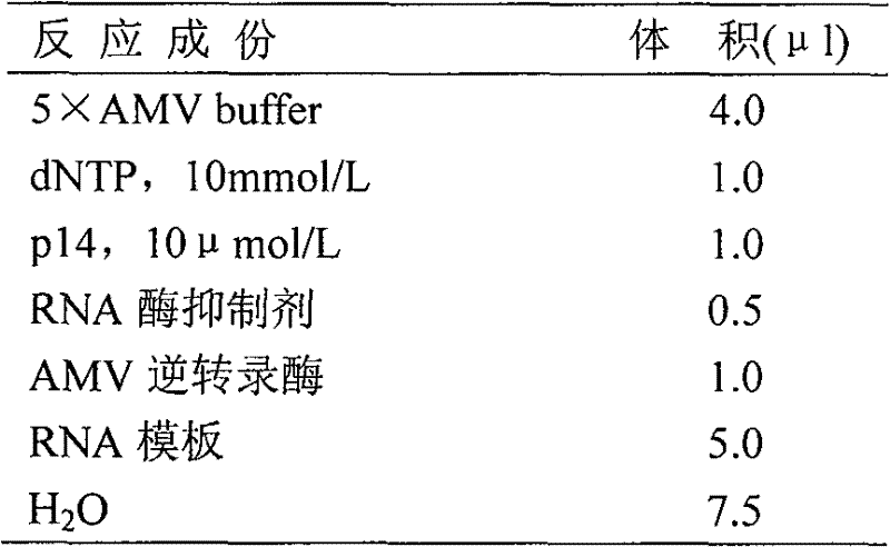 Gold-labeled test paper strip for quick diagnosis of hemorrhagic fever with renal syndrome