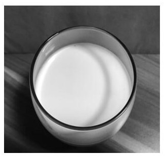 A microcapsule powder containing peony seed oil suitable for pregnant women and its preparation method