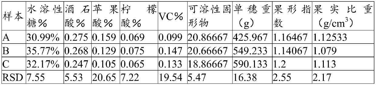 Microbial fermentation composition, preparation method of microbial fermentation composition, and application of microbial fermentation composition in plant fertilizers