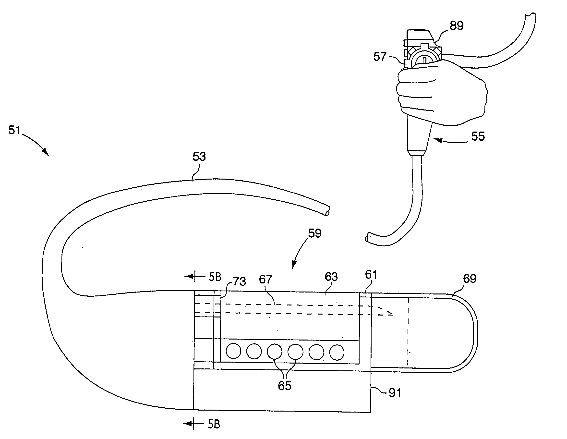 Integrated endoscope and accessory treament device