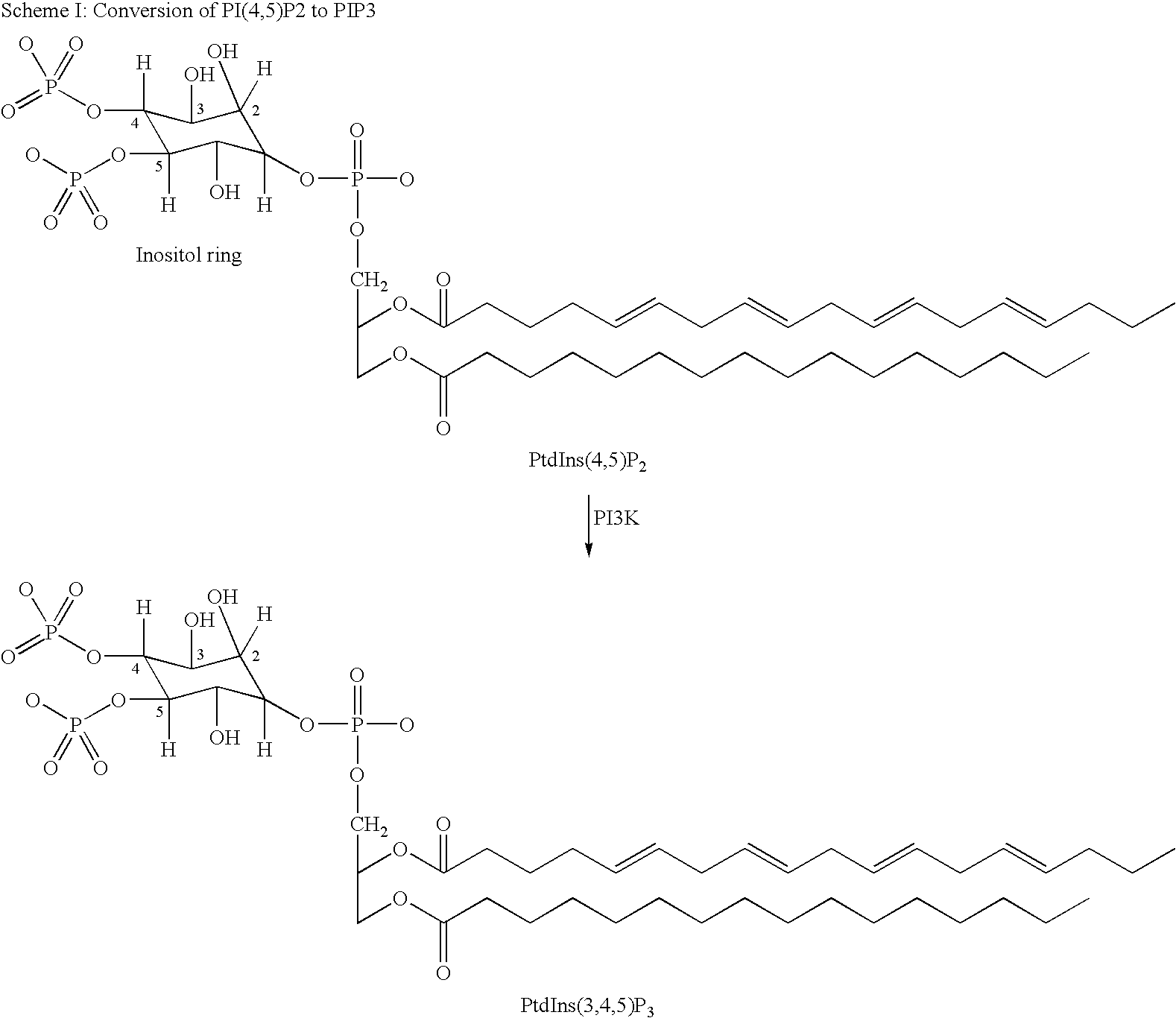 Pyridosulfonamide derivatives as p13 kinase inhibitors