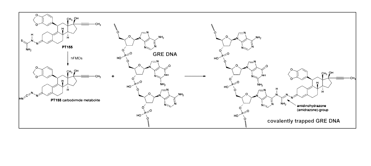 Pharmaceutical Compositions and Methods