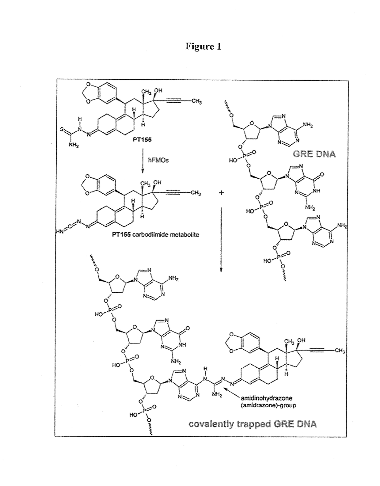 Pharmaceutical Compositions and Methods