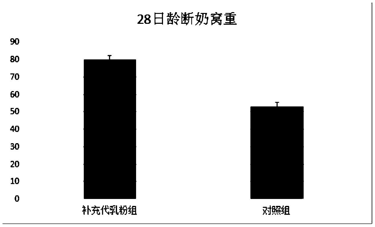 Plant-derived piglet milk replacer and application thereof