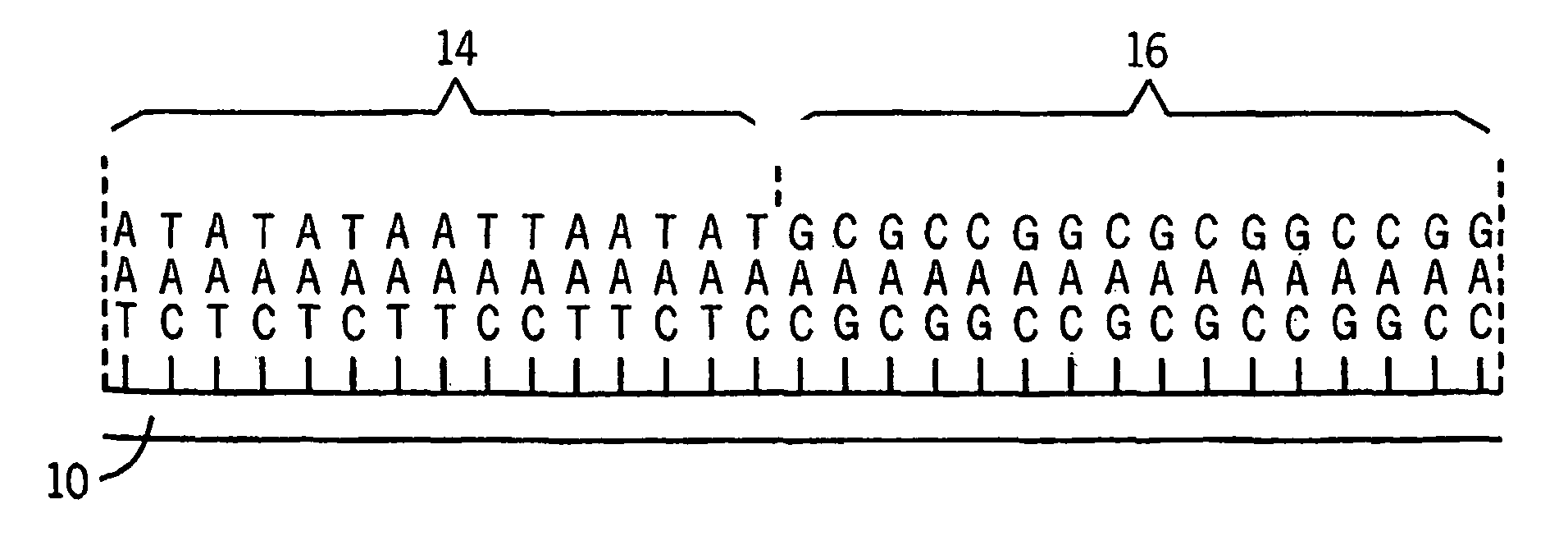 Microarrays having multiple oligonucleotides in single array features