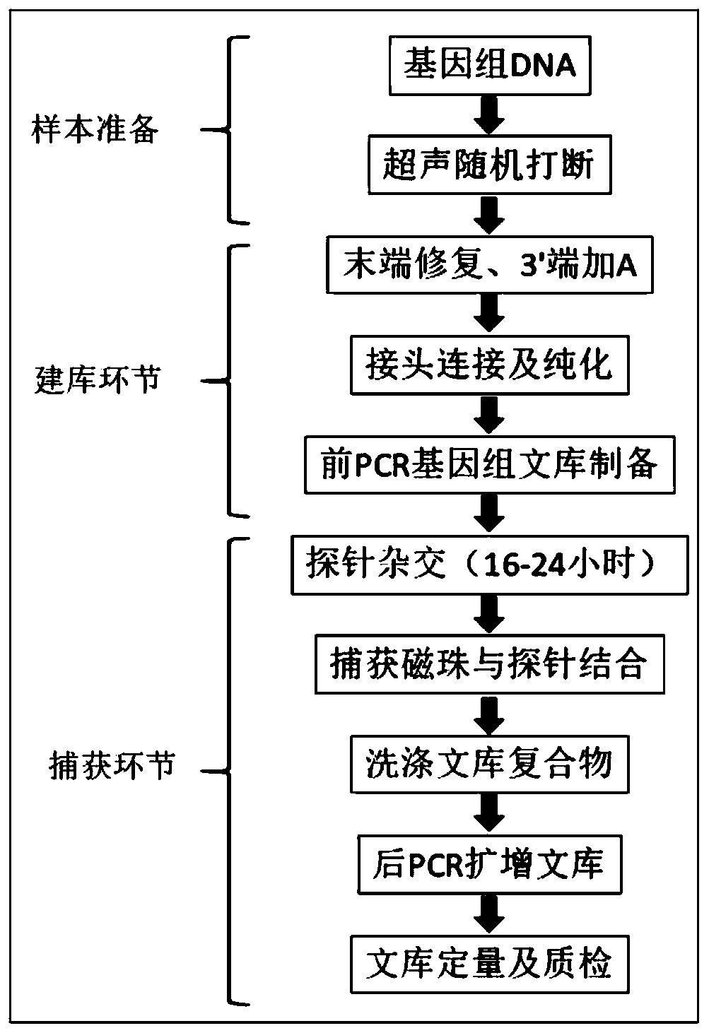 Building method and application of deafness related gene library