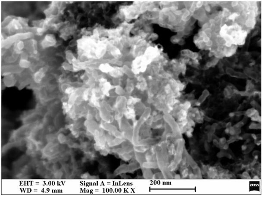 Preparation method of nitrogen-doped porous carbon/carbon nanotube composite with interpenetrating network structure