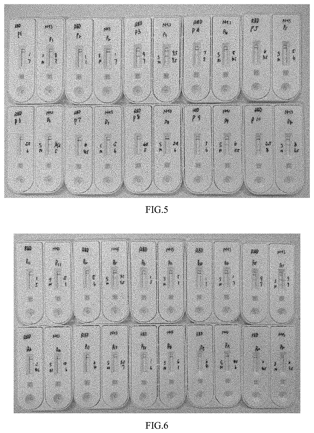 Lateral flow detection device for detecting a coronavirus by immunoassay
