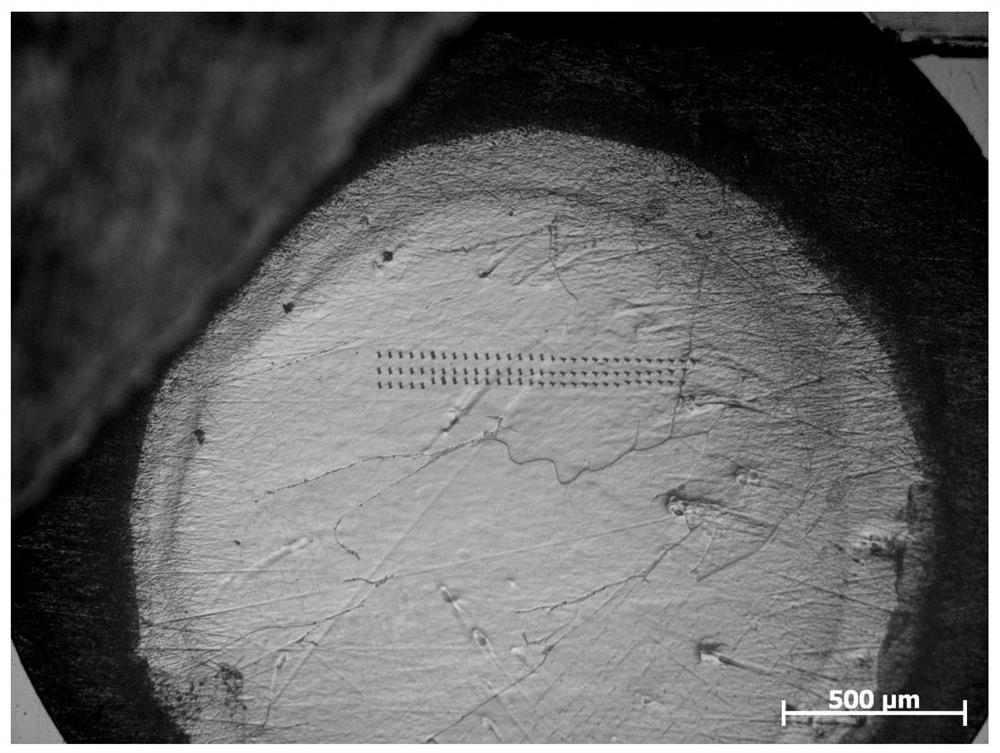 Sample preparation method for in-situ observation of dislocation slip traces by transmission electron microscope