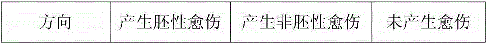 Method and medium formula capable of increasing sprouting ratio of immature wheat embryos