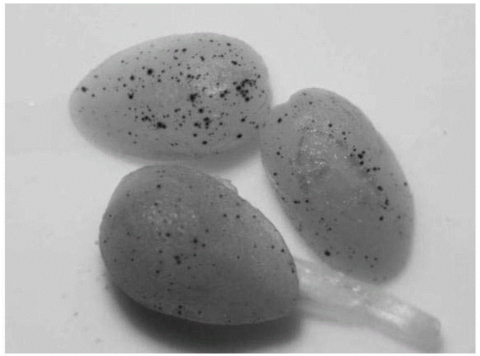 Method for cultivating starch-content-increased transgenic plant through multi-gene transformation