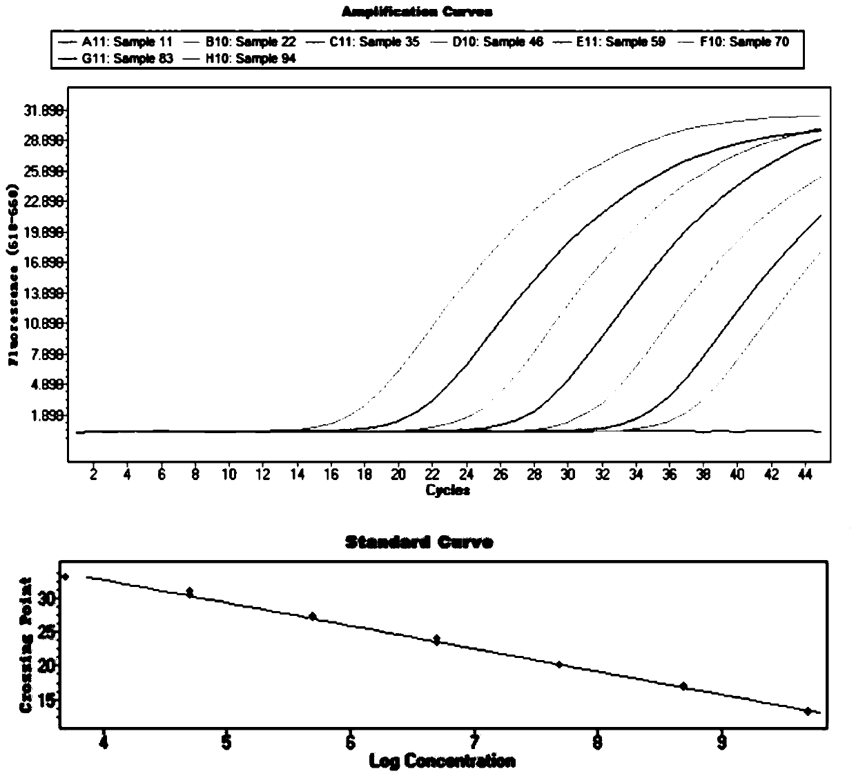 Application of primer probe combination and kit thereof in HBV detection