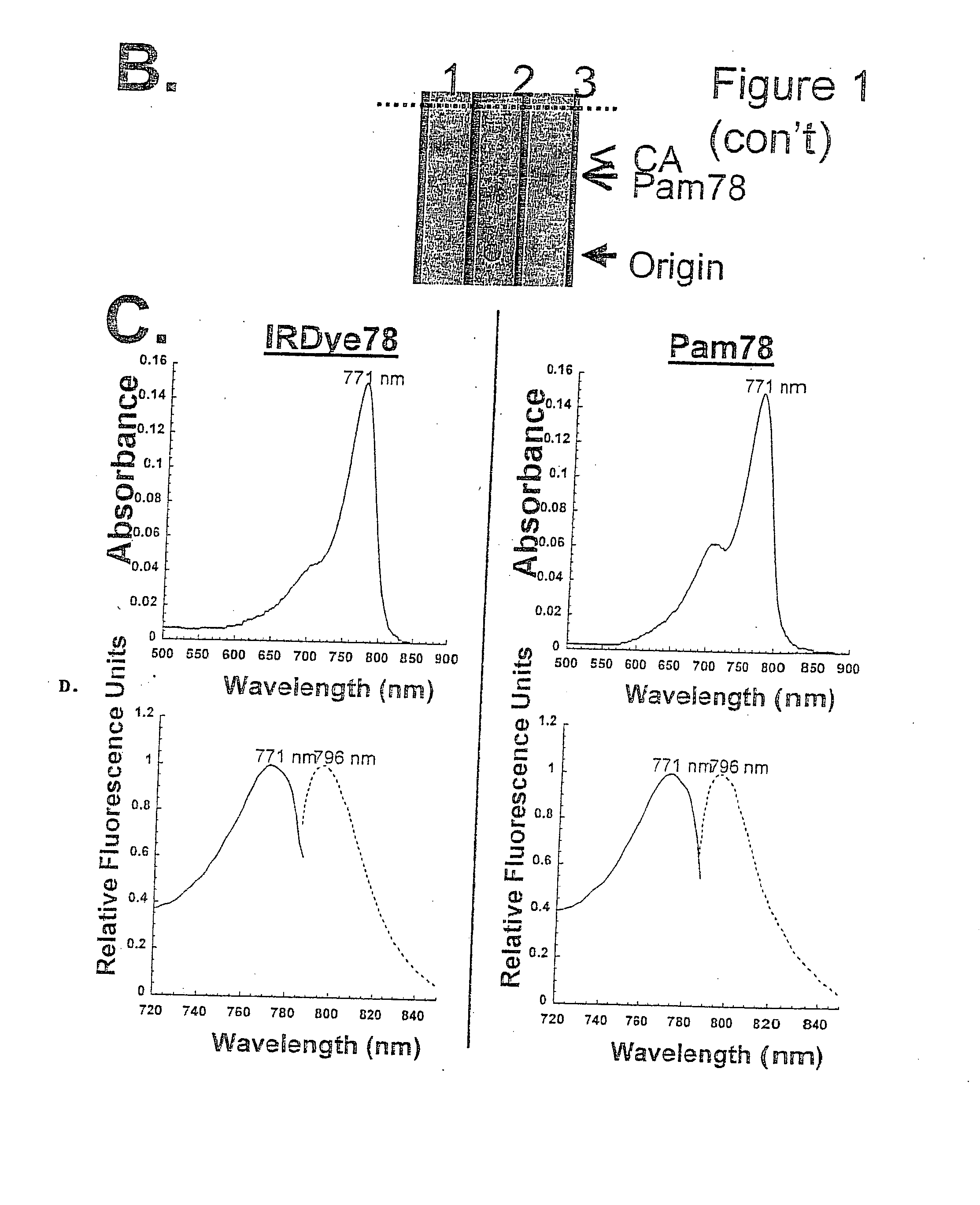 Non-isotopic detection of osteoplastic activity in vivo using modified bisphosphonates