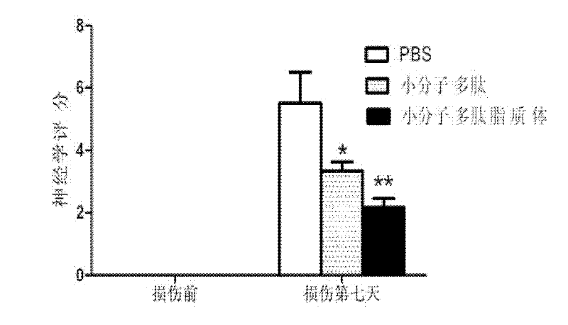 Micromolecule polypeptide and micromolecule polypeptide liposome as well as applications thereof