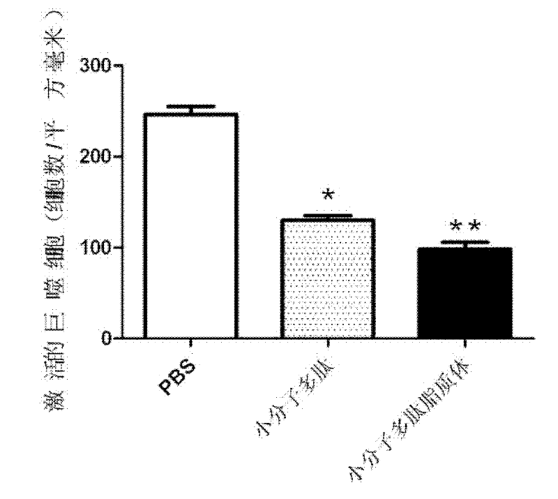 Micromolecule polypeptide and micromolecule polypeptide liposome as well as applications thereof