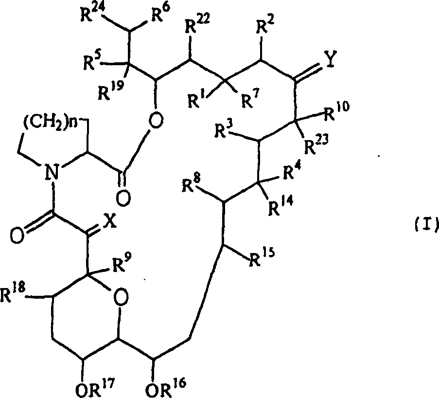 Pharmaceutical composition comprising tricyclic compound for prevention or treatment of skin diseases