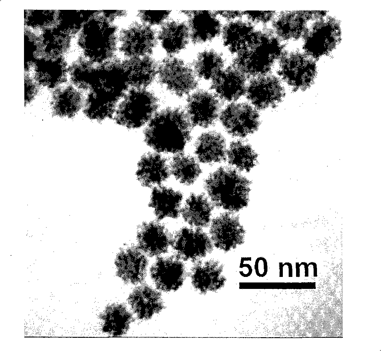 Method for preparing monodisperse flower-shaped gold/platinum hybrid nano particles having different particle diameters