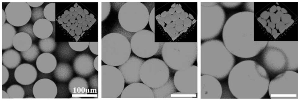 Microgel assembly scaffold for tissue regeneration and repair, and preparation method thereof