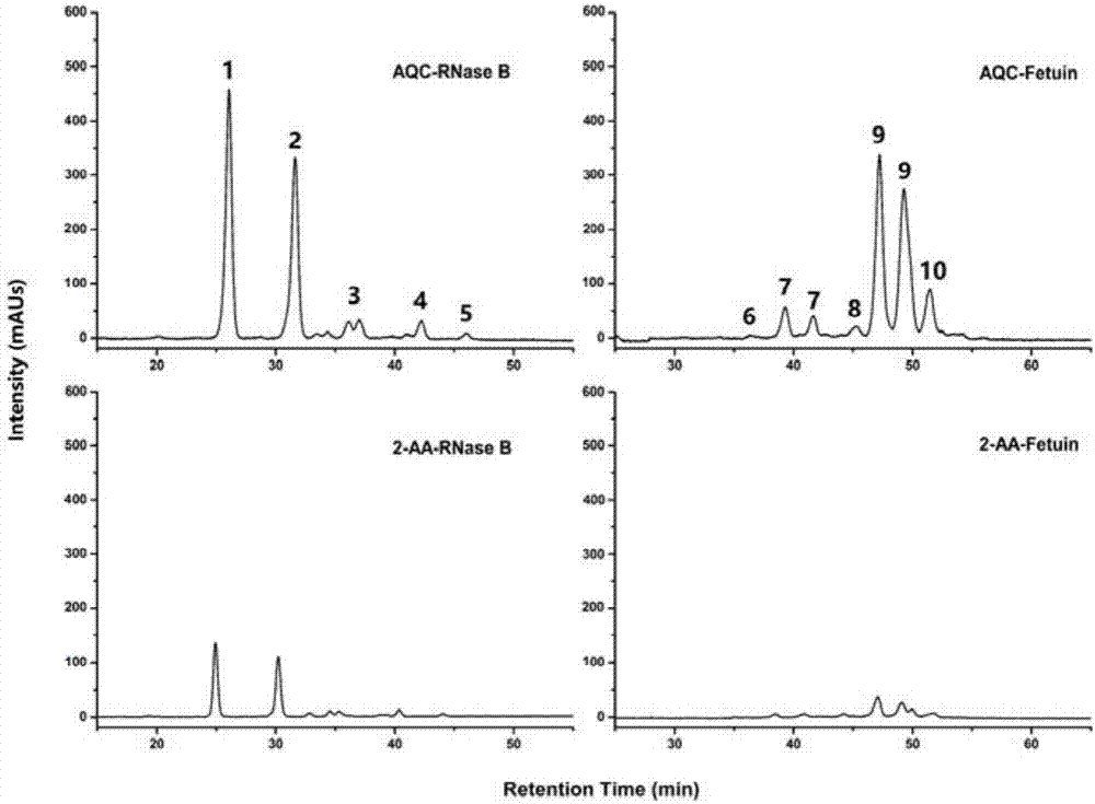 Method for rapid high-efficiency qualitative and quantitative analysis of N-sugar in virtue of high-performance liquid chromatography