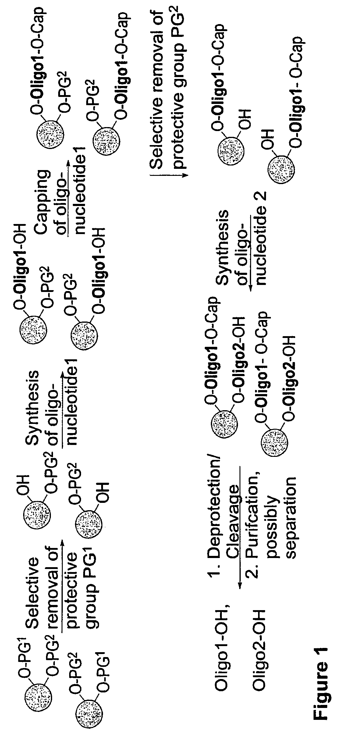 Methods and compositions for the tandem synthesis of two or more oligonucleotides on the same solid support
