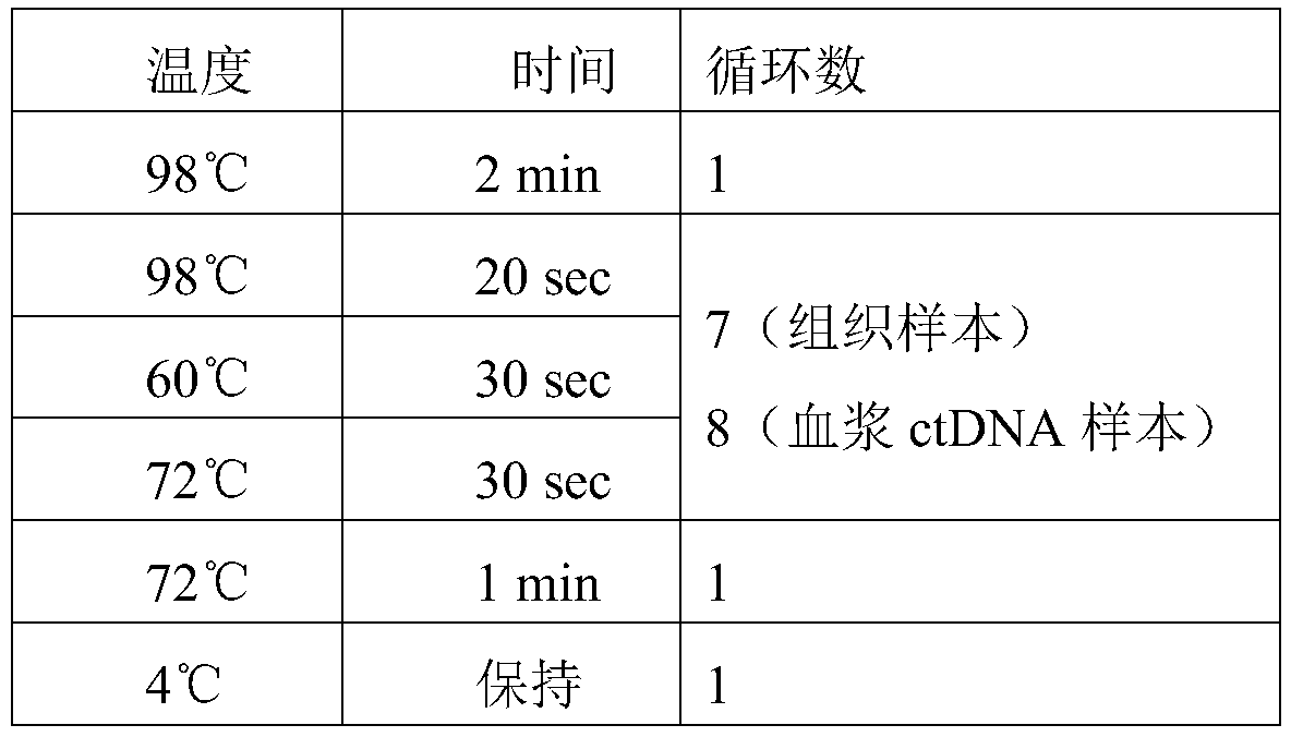 Probe composition for detecting lung cancer mutant genes based on NGS method and kit