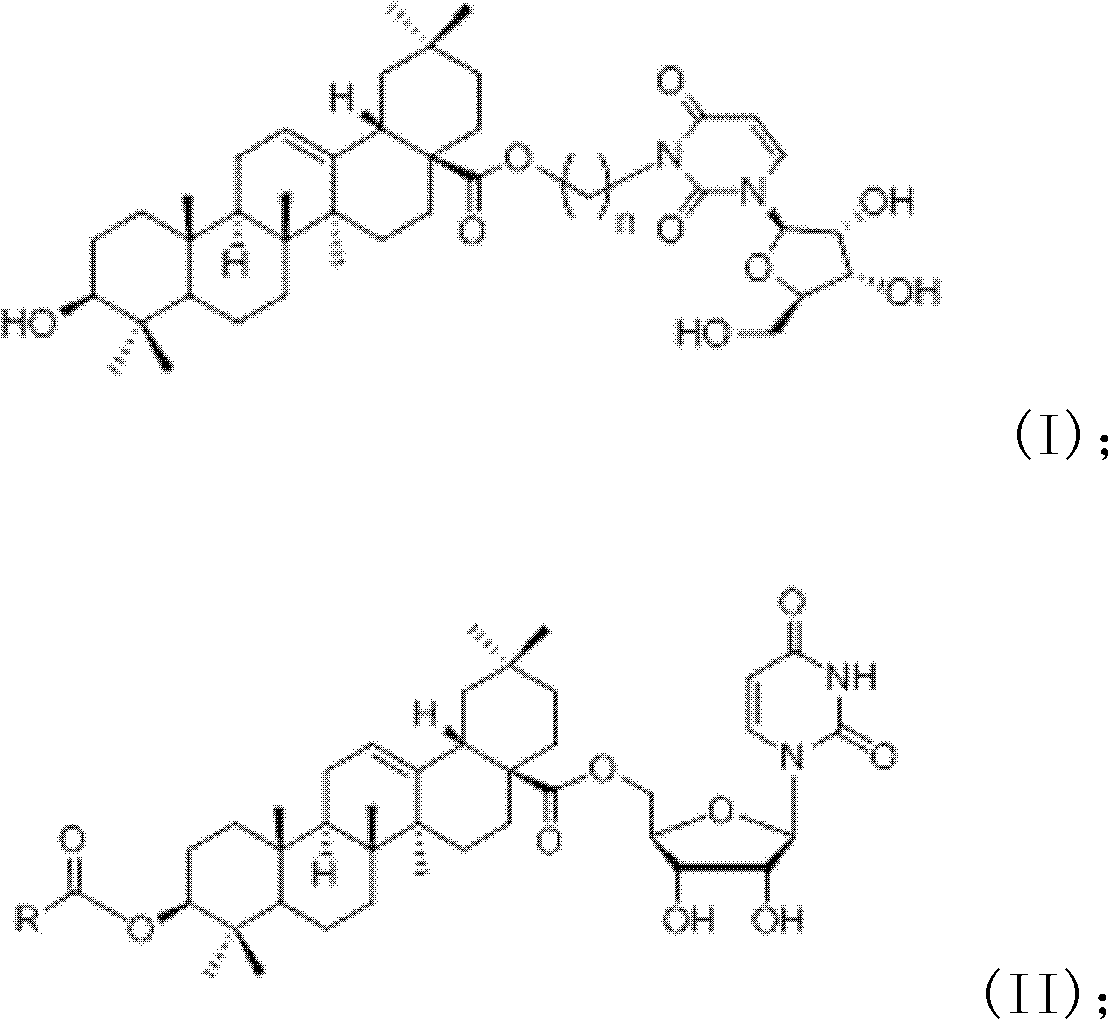 Oleanolic acid-uridine conjugate as well as preparation method and application thereof