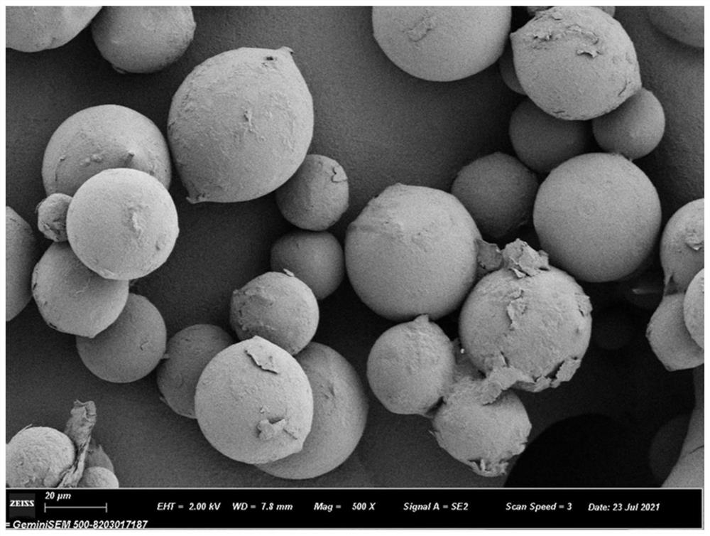 Injection gel containing controllably degradable polyester microspheres