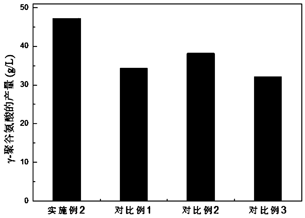 Seed initiator preparation method