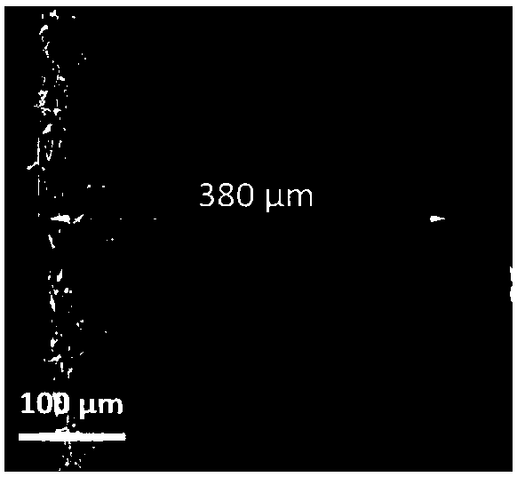 Nitrogen-doped carbon flexible paper and its preparation method and application