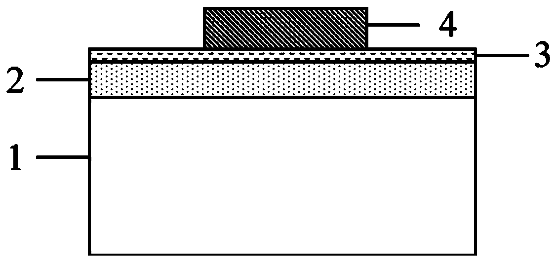 Ohmic contact forming method for (100) oriented n-type monocrystalline diamond electrode