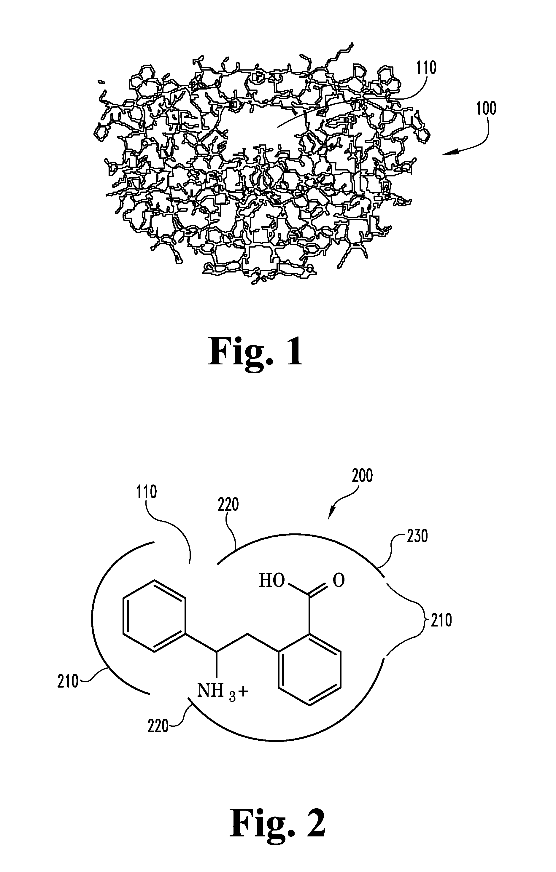 System and Method for Improved Computer Drug Design