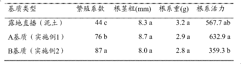 Composite substrate for soilless seedling cultivation of strawberry
