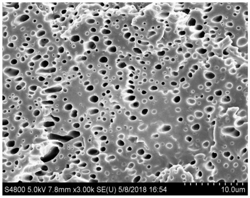 A kind of polymer blend compatibilized by silane carbon quantum dots and its preparation method and application