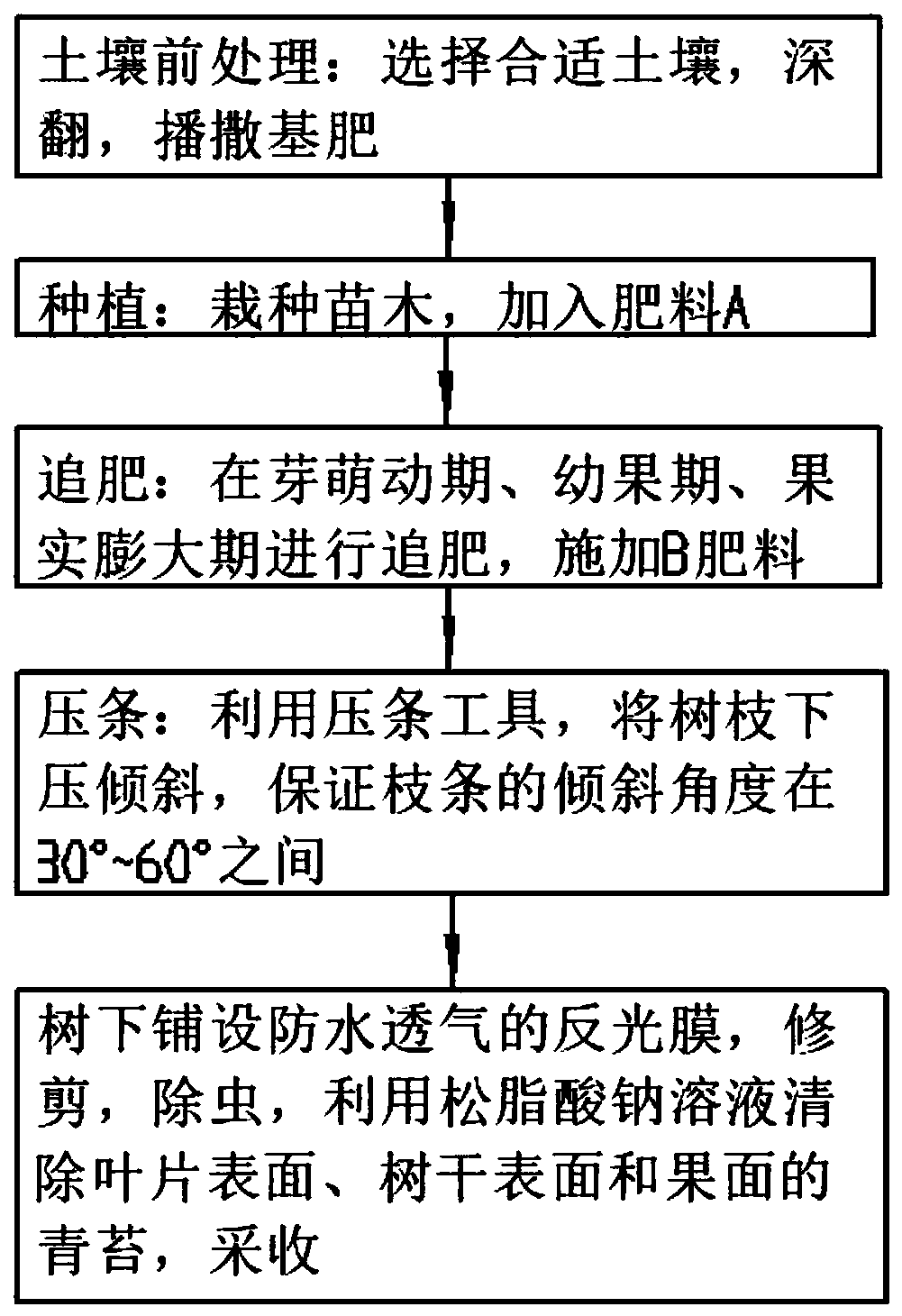 Tangerine Tango cultivation method