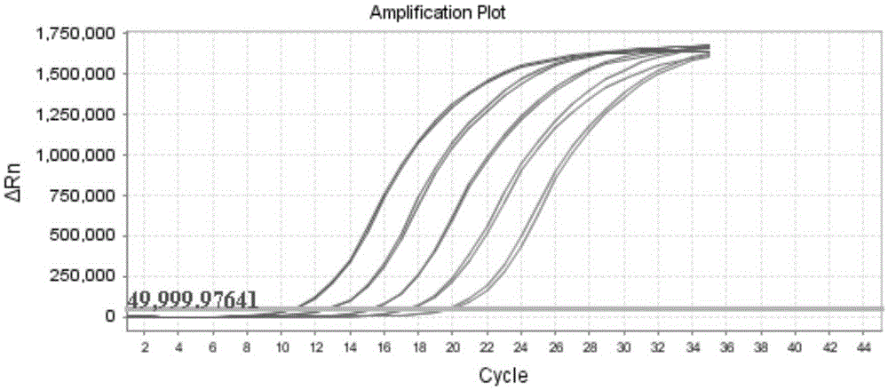 Primers, Taqman probe and kit for detection of STMN1 mRNA expression quantity