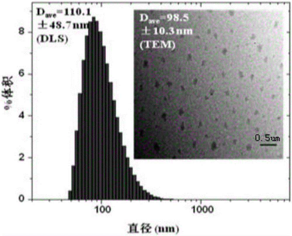 Free radical nano-capture material and preparation method thereof