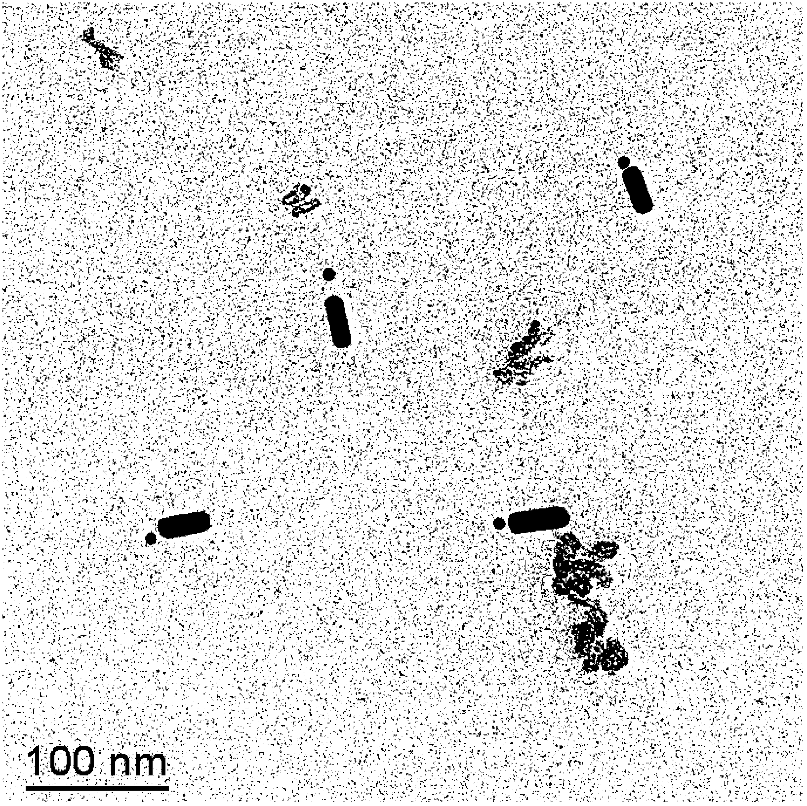 Method for constructing nanoparticle-nanorod composite structure and constructed composite structure